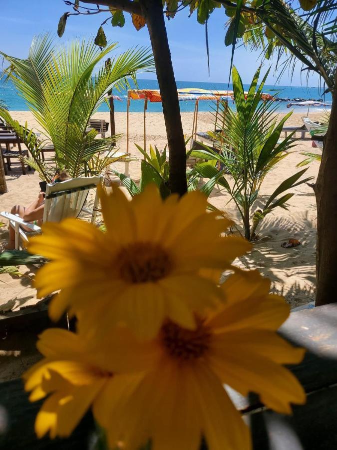 Mallika Guest House Tangalle Dış mekan fotoğraf